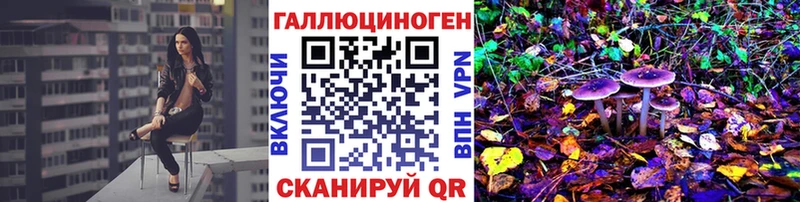 Псилоцибиновые грибы мицелий  дарнет шоп  Выборг 